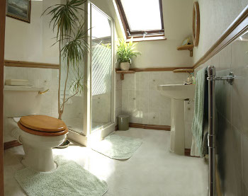 Photo of Shower Room